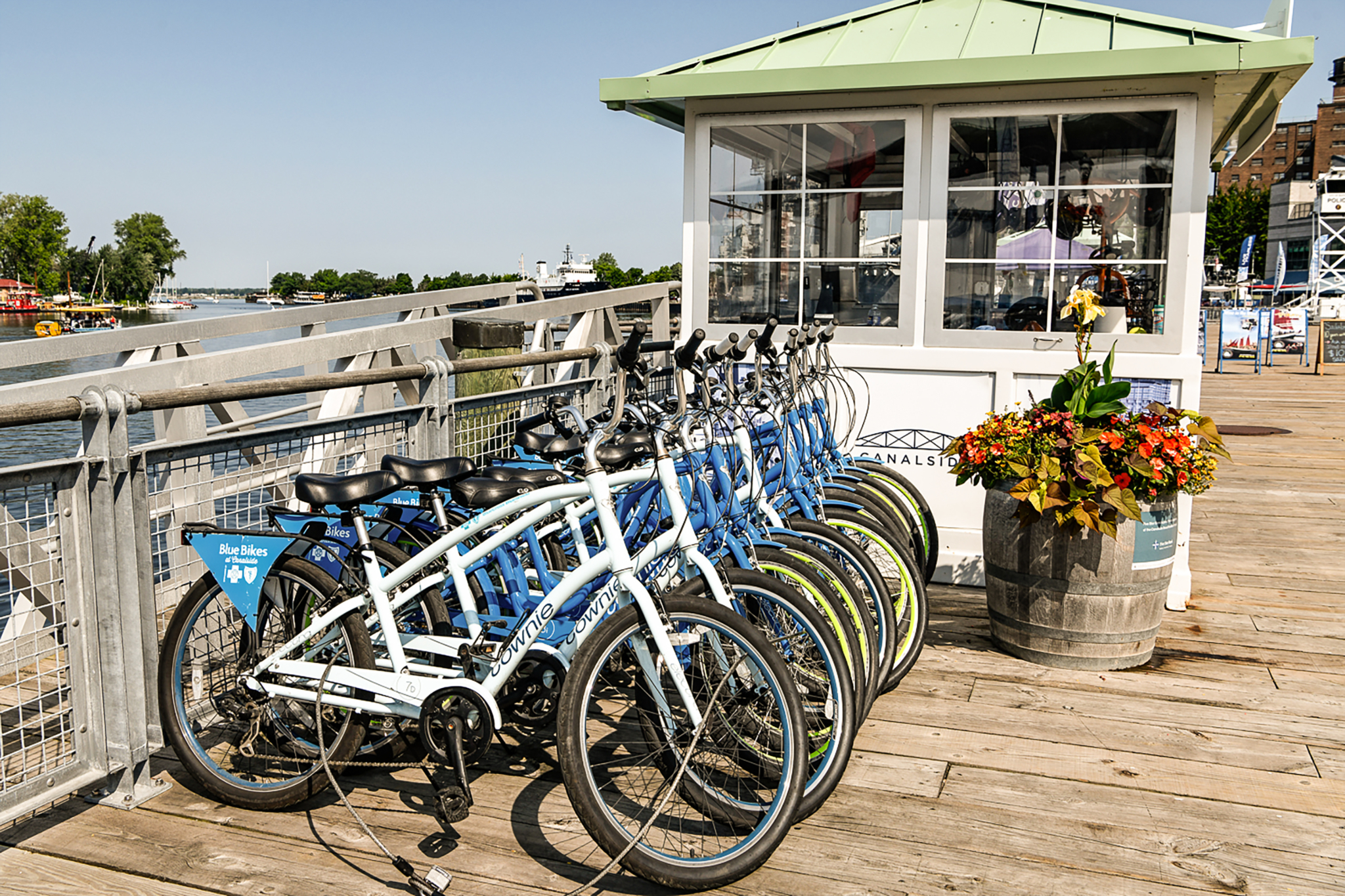 Rental Bikes in Bike Rack